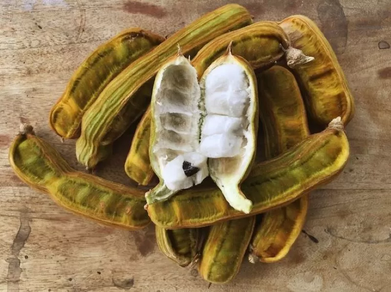Rahasia di Balik Kelezatan Buah Salju yang Menyegarkan